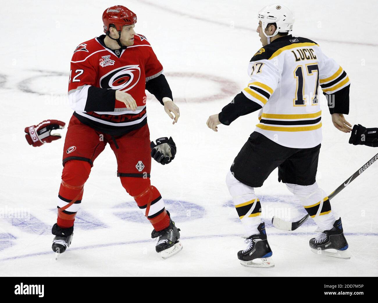 The Carolina Hurricanes' Tim Gleason (42) and Boston Bruins' Milan Lucic (17) drop the gloves as they prepare to duke it out in the final minutes of the third period at the RBC Center in Raleigh, NC, USA on February 19, 2008. The Bruins defeated the Hurricanes in overtime, 3-2. Photo by Chris Seward/Raleigh News & Observer/MCT/Cameleon/ABACAPRESS.COM Stock Photo