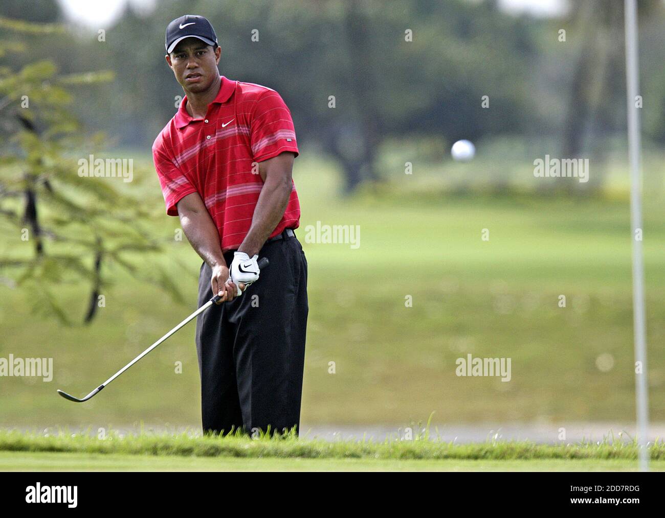 NO FILM, NO VIDEO, NO TV, NO DOCUMENTARY - Tiger Woods chips onto the 16th green during the continuation of the third round of the 2008 World Golf Championship-CA at the Doral Golf Resort & Spa in Miami, FL, USA on March 23, 2008.Photo by John VanBeekum/Miami Herald/MCT/Cameleon/ABACAPRESS.COM Stock Photo