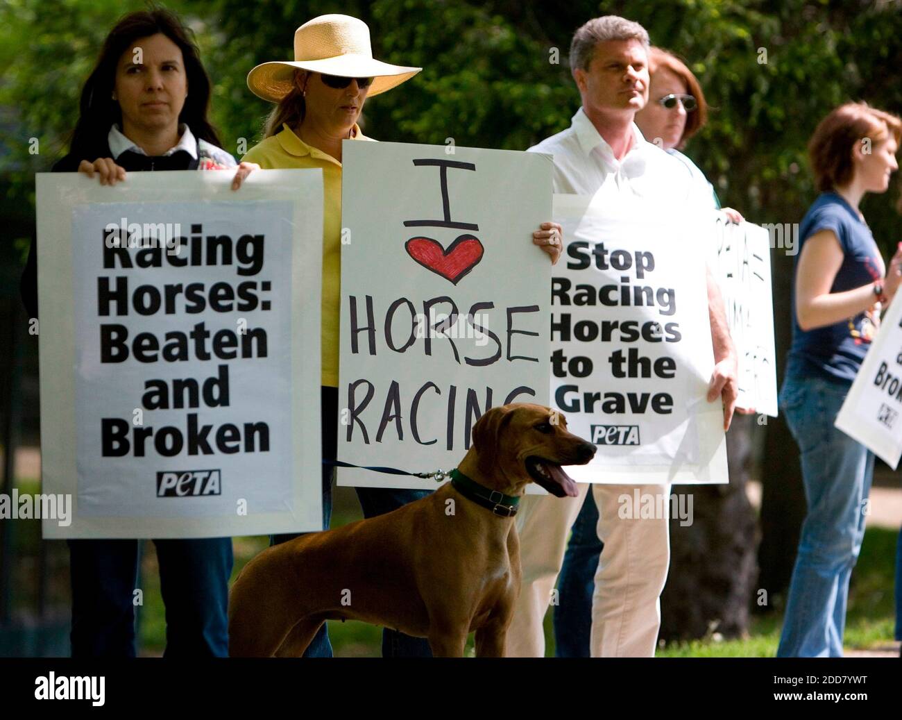 NO FILM, NO VIDEO, NO TV, NO DOCUMENTARY - Protesters from PETA and supporters of the horse industry hold signs at the Kentucky Horse Racing Authority's headquarters in LLexington, KY, USA on May 6, 2008. PETA has urged the suspension of jockey Gabriel Saez for what it viewed as excessive whipping of Eight Belles during the Kentucky Derby. Photo by Jenn Ackerman/Lexington Herald-Leader/MCT/ABACAPRESS.COM Stock Photo