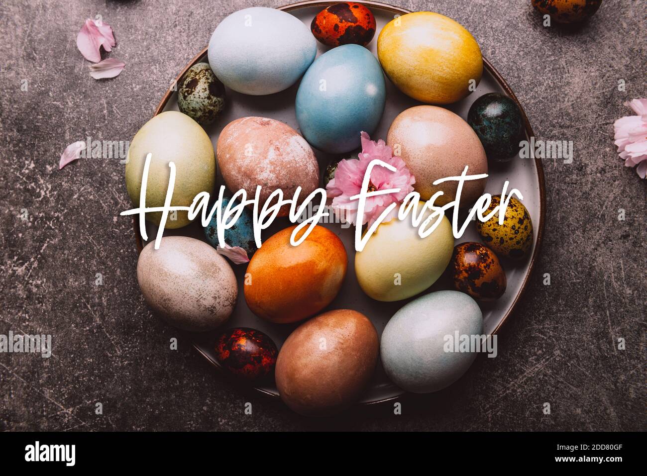 Homemade naturally dyed eggs. Stock Photo