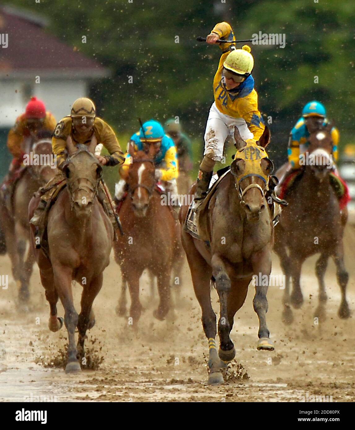 Sweet Vendetta pulled ahead to win the Black-Eyed Susan race at Pimlico Race Track in Baltimore, MD, USA on May 16, 2008. Photo by Monica Lopossay/Baltimore Sun/MCT/Cameleon/ABACAPRESS.COM Stock Photo