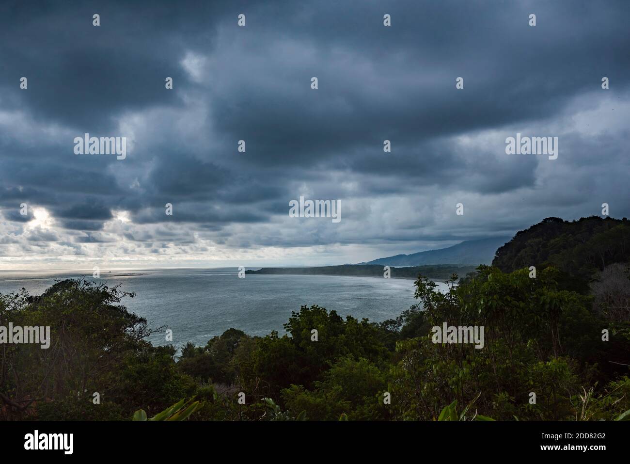 Torrential rain rainforest hi-res stock photography and images - Alamy