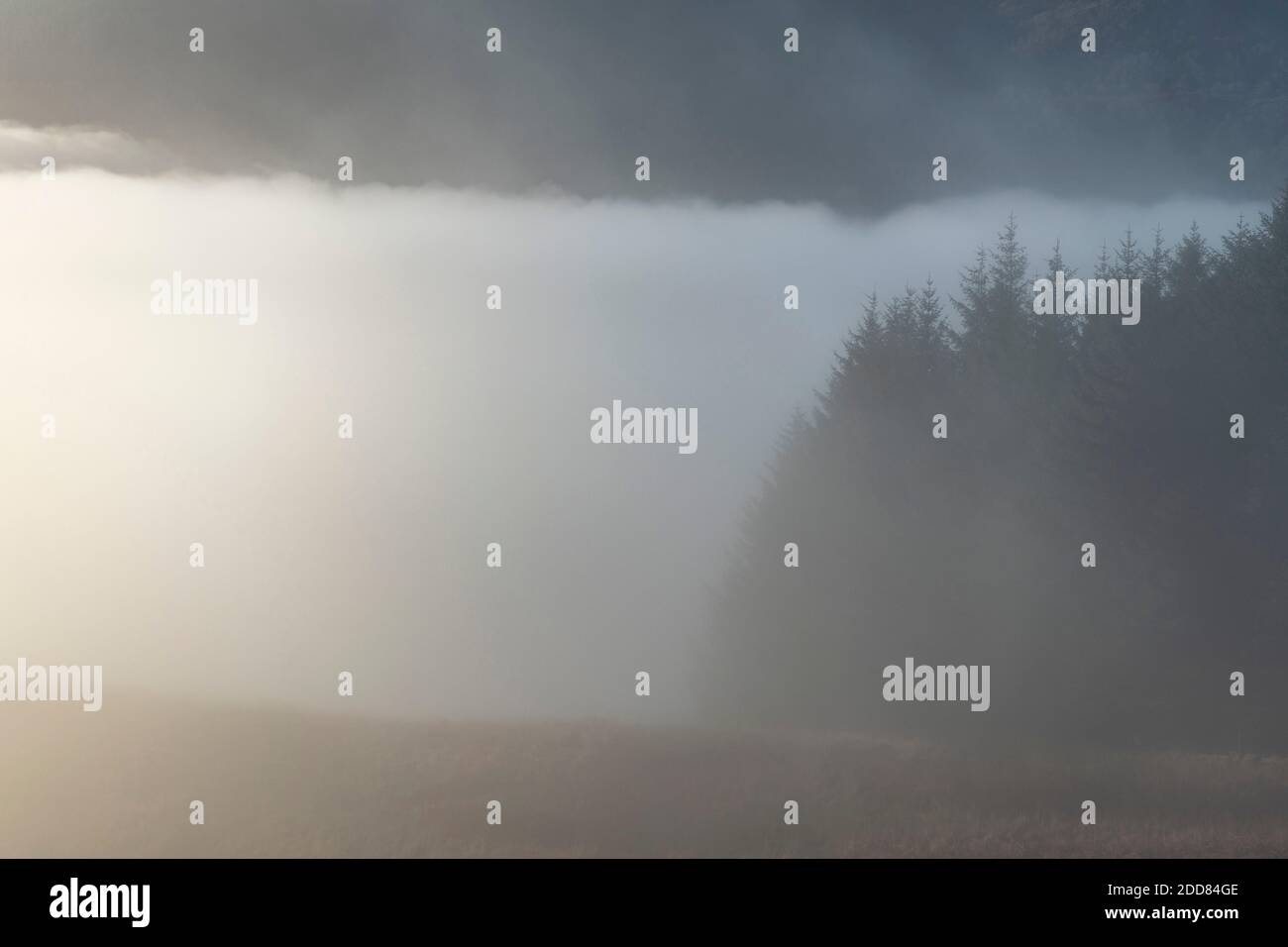 Misty mountain landscape seen from Ben Lomond in Loch Lomond and the Trossachs National Park, Scottish Highlands, Scotland, United Kingdom, Europe Stock Photo