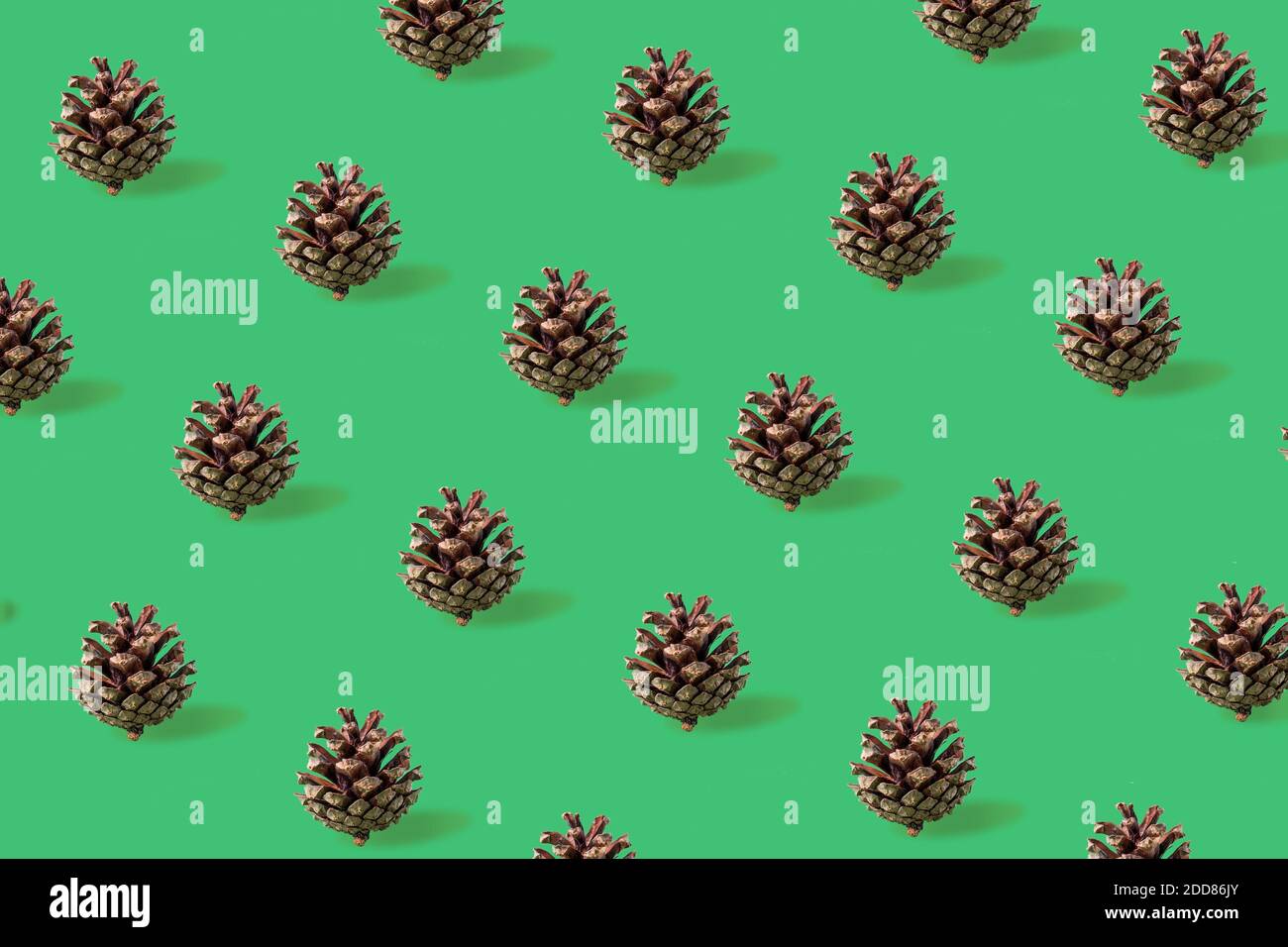 Seamless christmas pattern from Pine cones on green background. Stock Photo