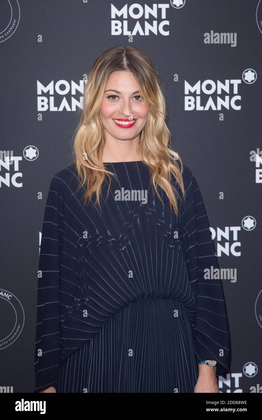 Sveva Alviti attends MontBlanc dinner les aimants by Charlotte