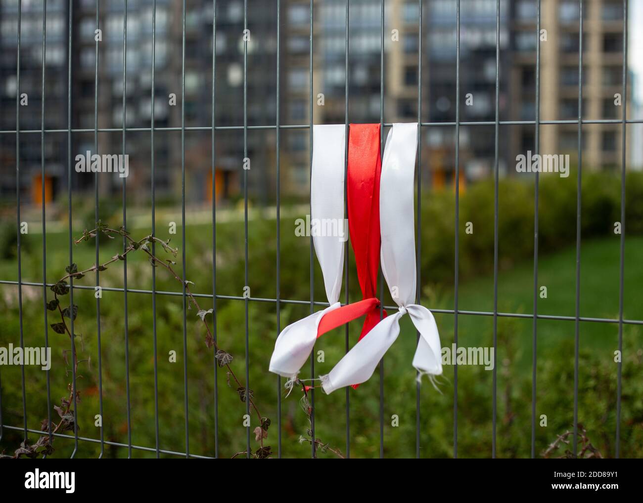 White-red-white ribbons on the fence. White-red-white flag. Stock Photo
