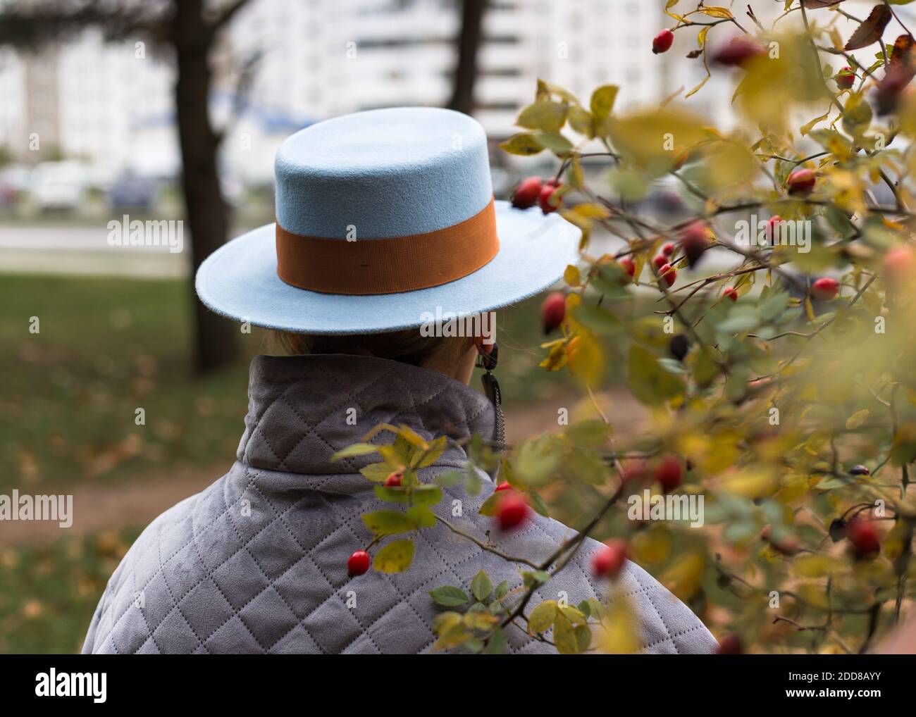 Woman in a blue hat standing with her back. Stock Photo