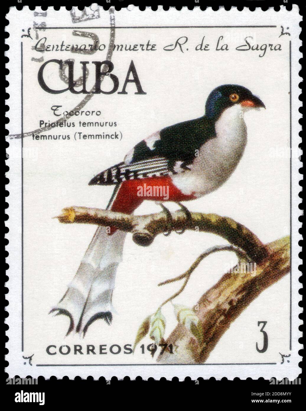 Saint Petersburg, Russia - November 12, 2020: Stamp printed in the Cuba with the image of the Cuban Trogon, Priotelus temnurus, circa 1971 Stock Photo
