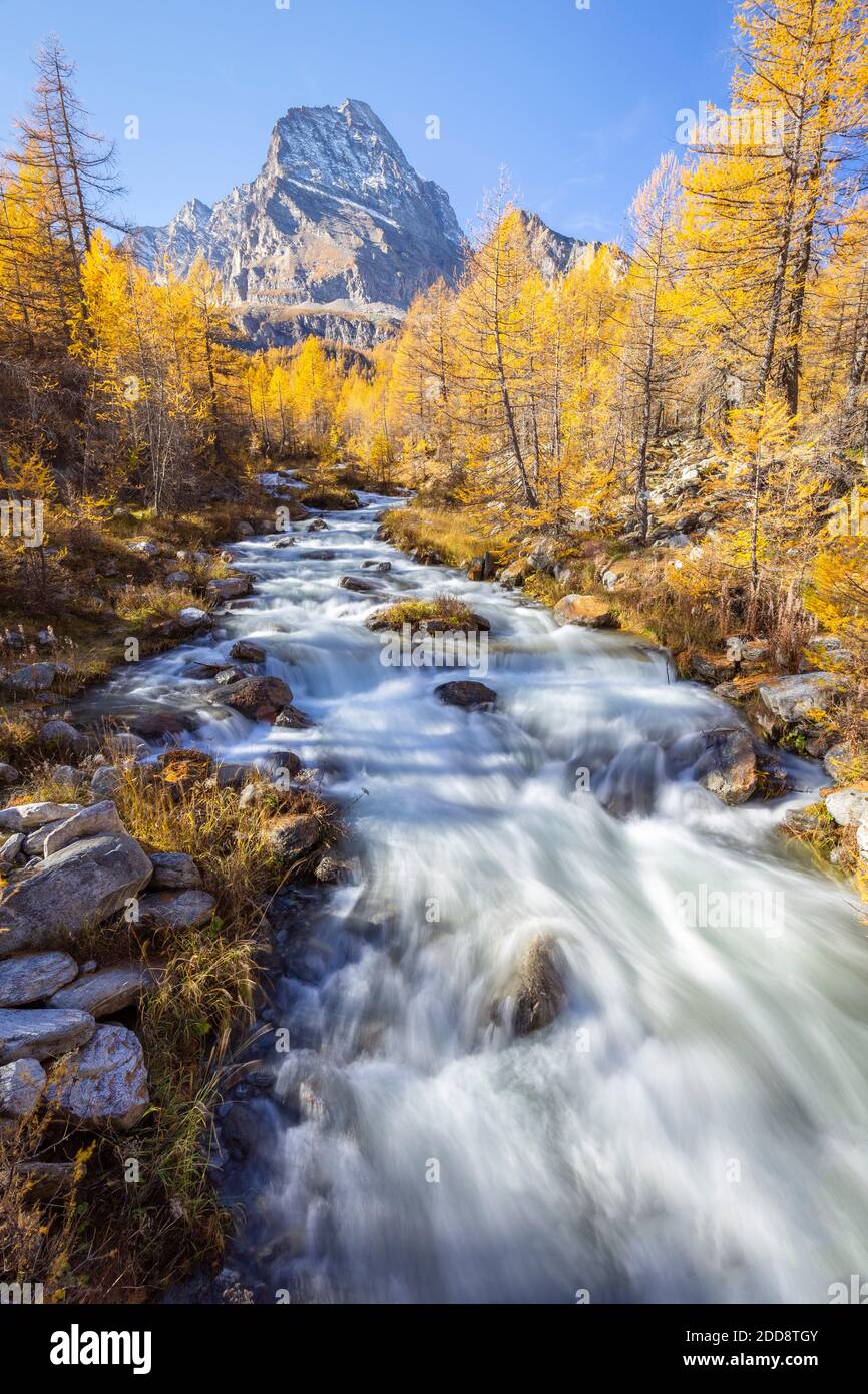 Autum at the river Cairasca with the Monte Leone in the background. Alpe Veglia, Val Cairasca, Divedro valley, Ossola valley, Varzo, Piedmont, Italy. Stock Photo