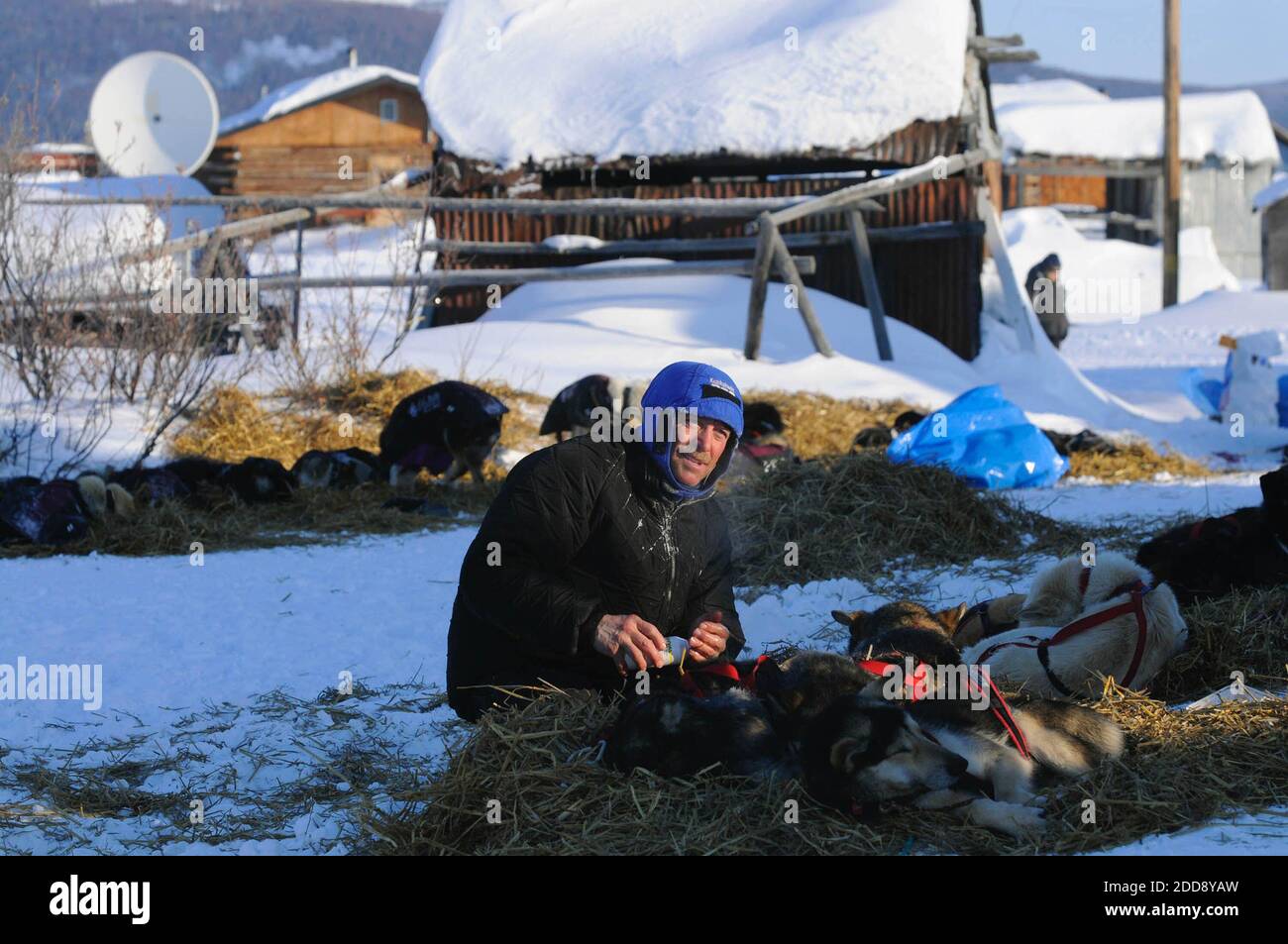 NO FILM, NO VIDEO, NO TV, NO DOCUMENTARY - Paul Gebhardt tends to his dogs in Kaltag, Alaska during the Iditarod on March 15, 2009. Photo by Marc Lester/Anchorage Daily News/MCT/ABACAPRESS.COM Stock Photo