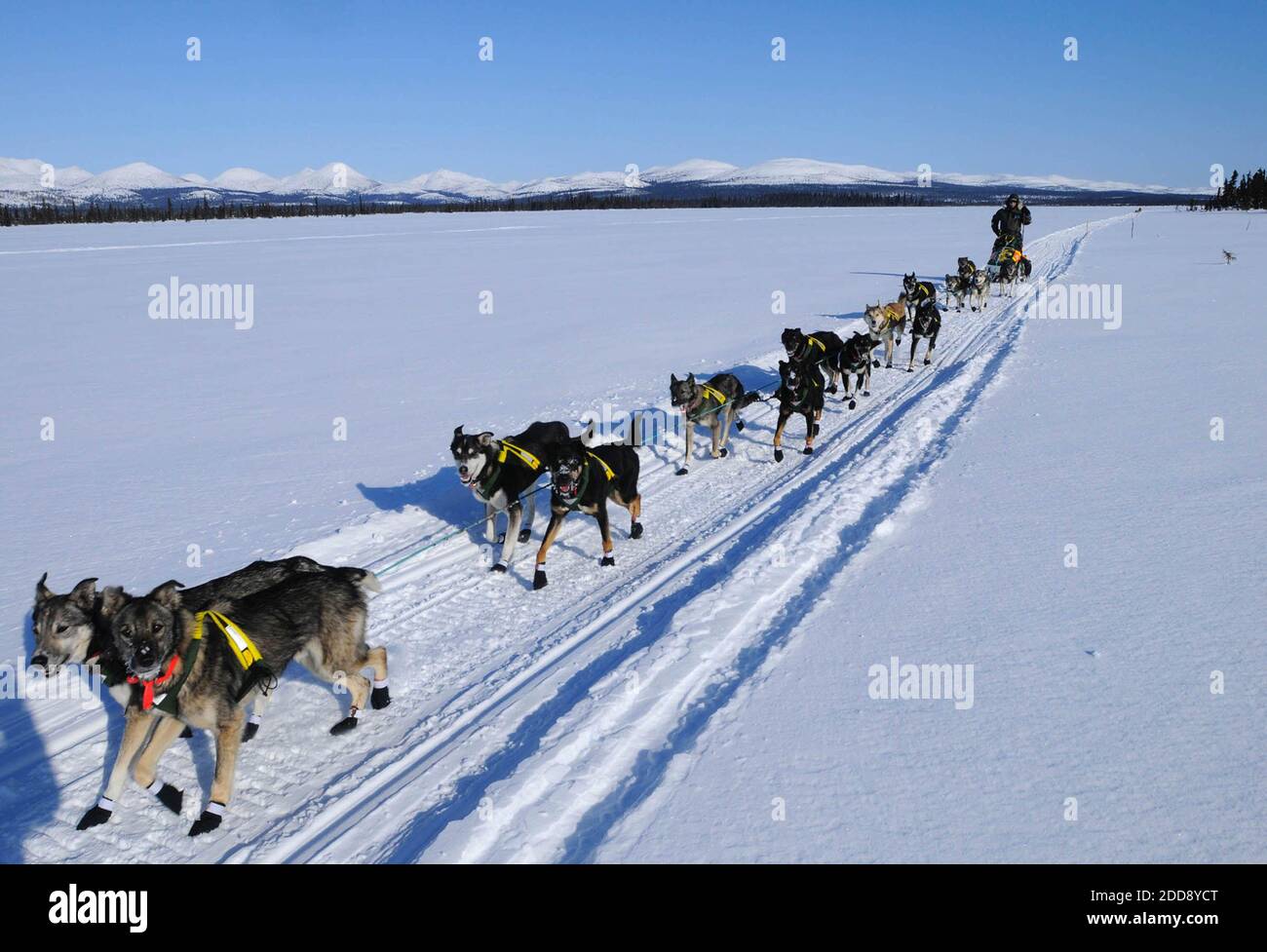 NO FILM, NO VIDEO, NO TV, NO DOCUMENTARY - Jeff King and his dogs cross the Tripod Flats between Kaltag and Unalakleet, Alaska during the Iditarod on March 15, 2009. Photo by Marc Lester/Anchorage Daily News/MCT/ABACAPRESS.COM Stock Photo