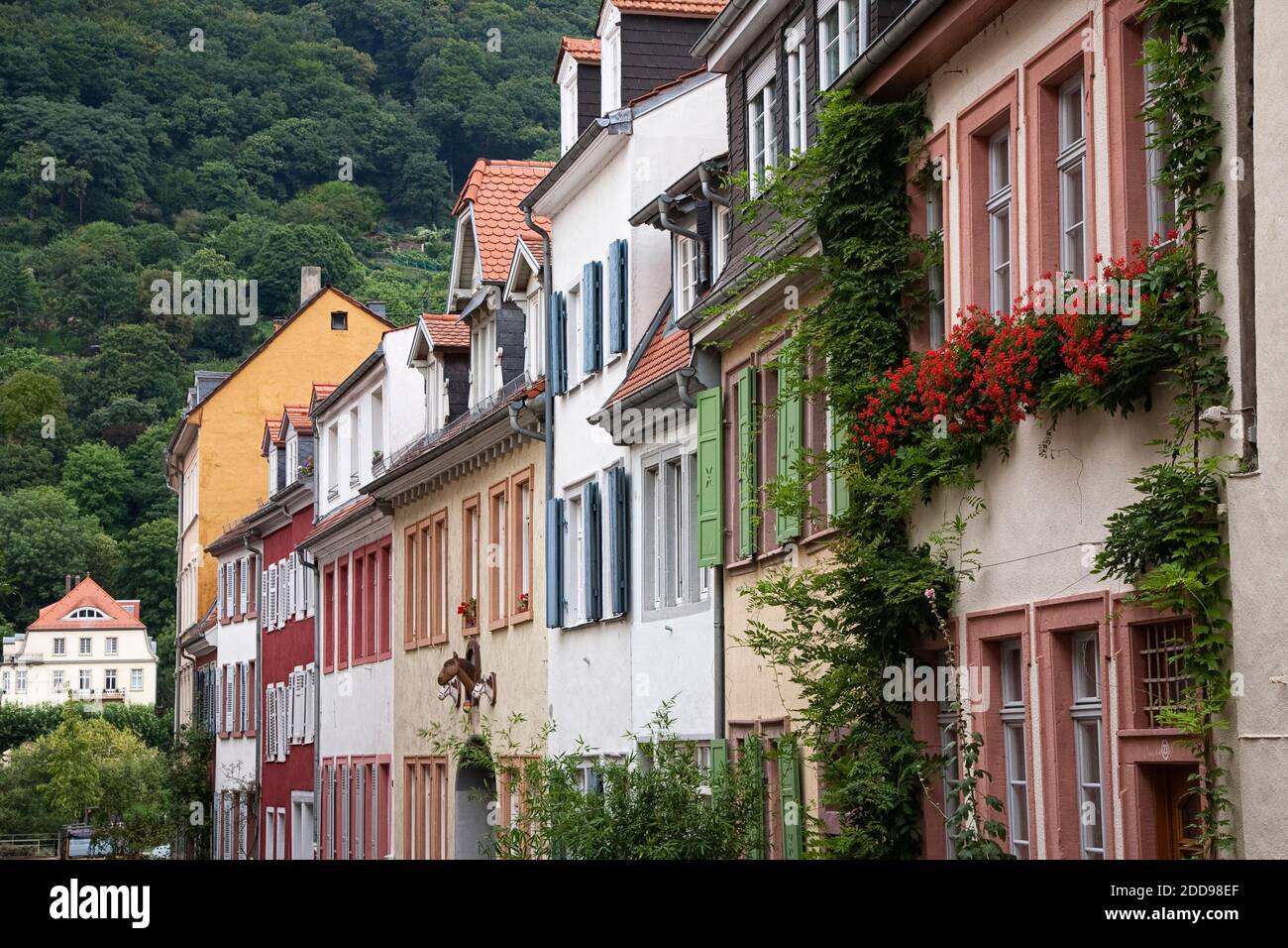 Exterior of Multi Coloured Houses in Old Town, Heidelberg, Germany