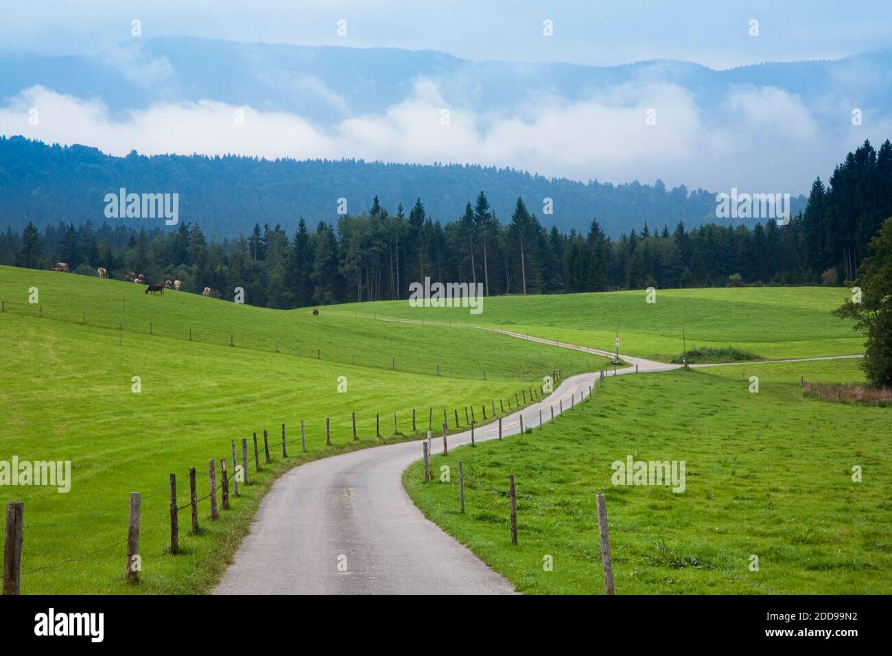 Country Road, Steingaden, Weilheim-Schongau, Bavaria, Germany Stock Photo