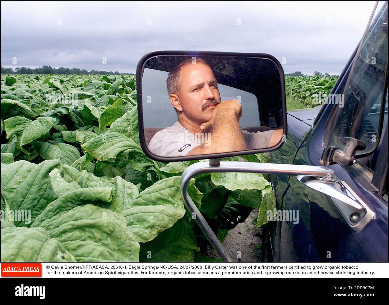 NO FILM, NO VIDEO, NO TV, NO DOCUMENTARY - © Gayle Shomer/KRT/ABACA. 20510-1. Eagle Springs-NC-USA, 24/07/2000. Billy Carter was one of the first farmers certified to grow organic tobacco for the makers of American Spirit cigarettes. For farmers, organic tobacco means a premium price and a growing Stock Photo