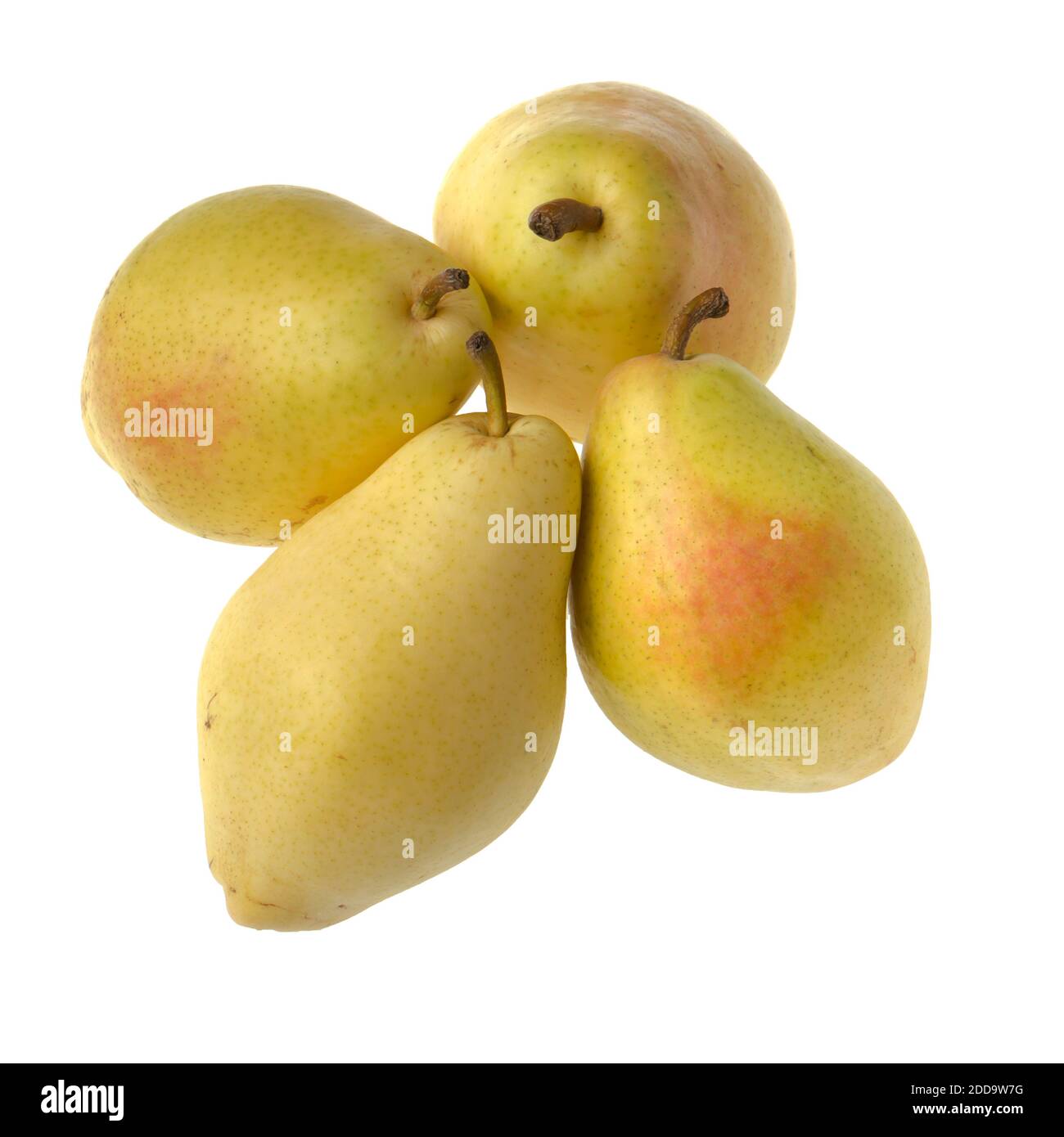 Ripe fruit pear fruit isolated on white background Stock Photo - Alamy
