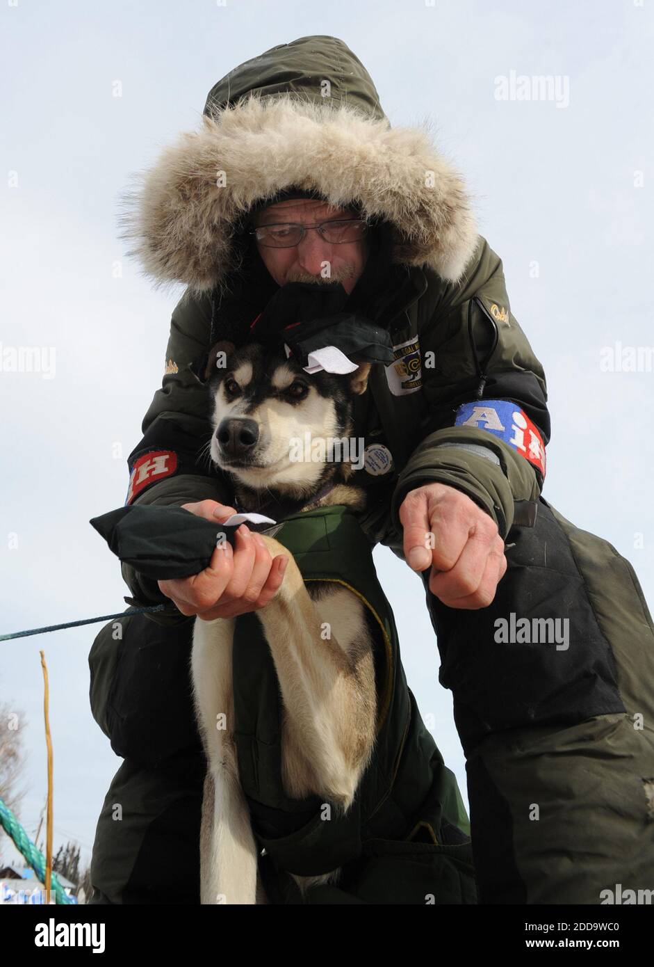 Do Iditarod Dogs Wear Booties