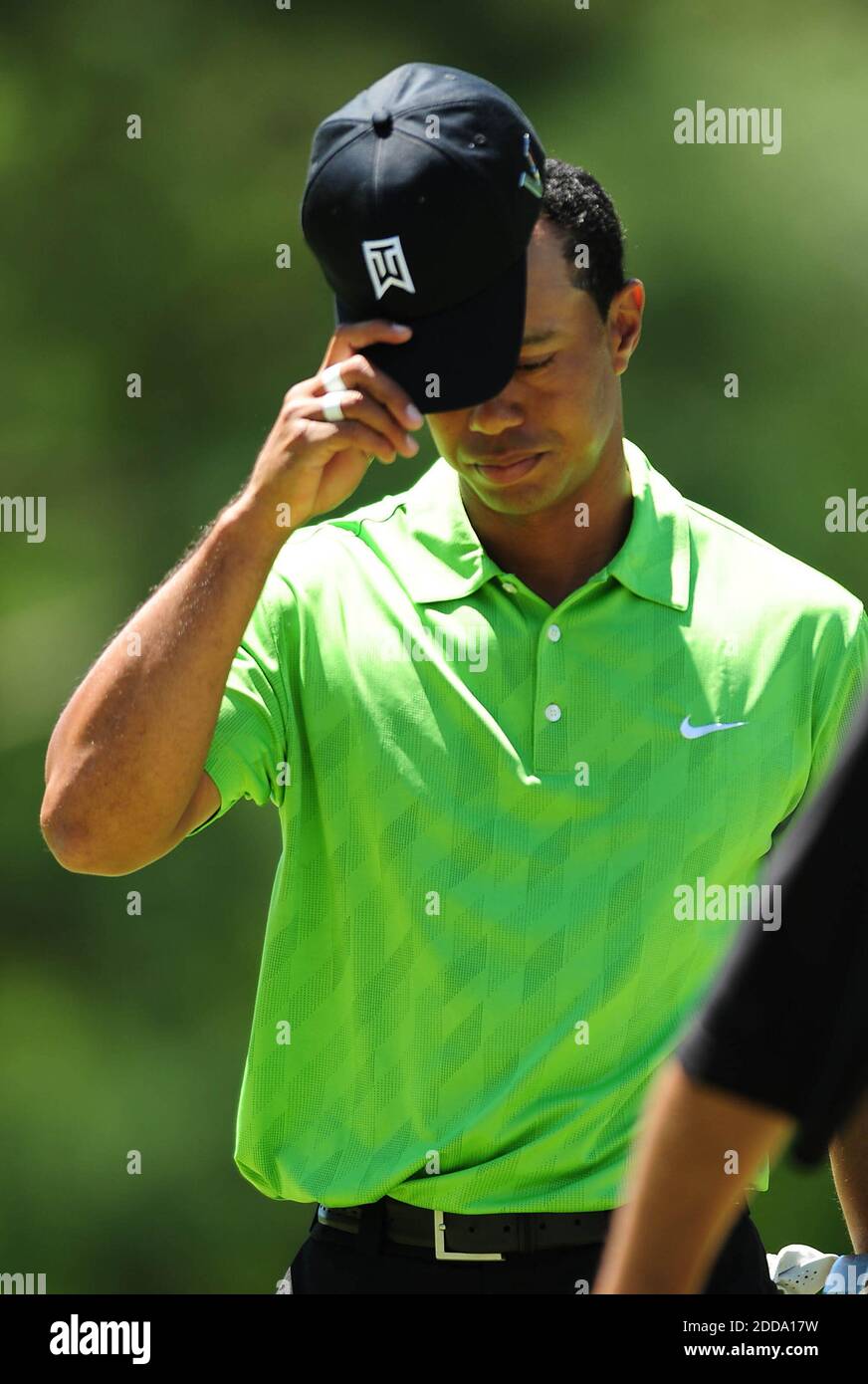 tiger woods green hat