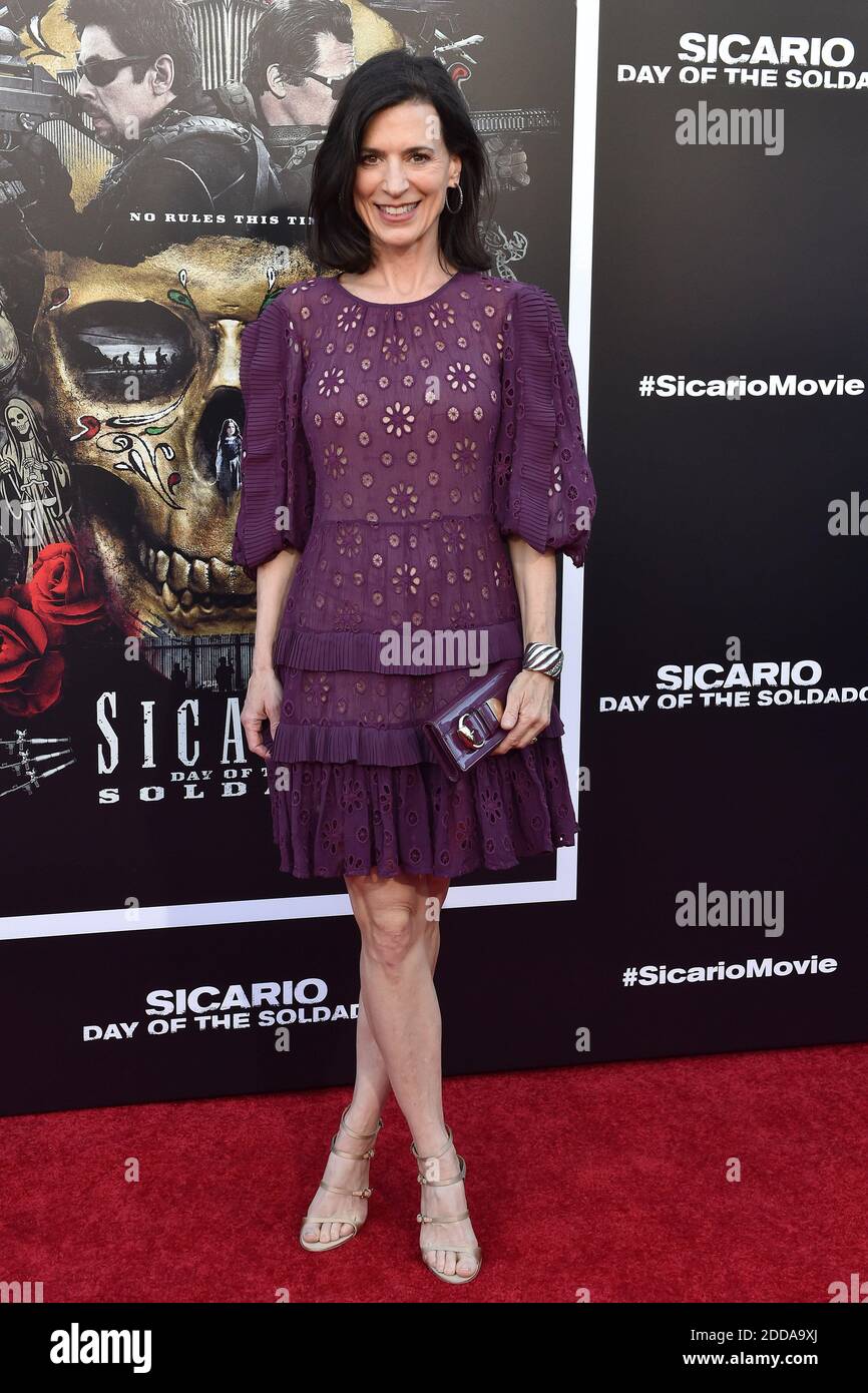 Perrey Reeves attends the premiere of Columbia Pictures' 'Sicario: Day