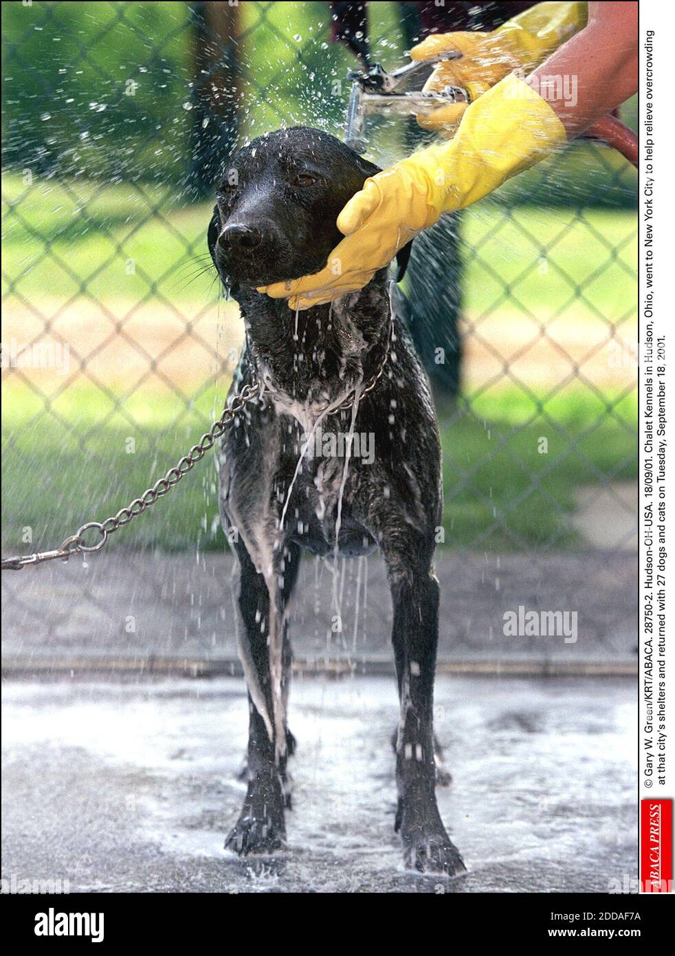 NO FILM, NO VIDEO, NO TV, NO DOCUMENTARY © Gary W. Green/KRT/ABACA