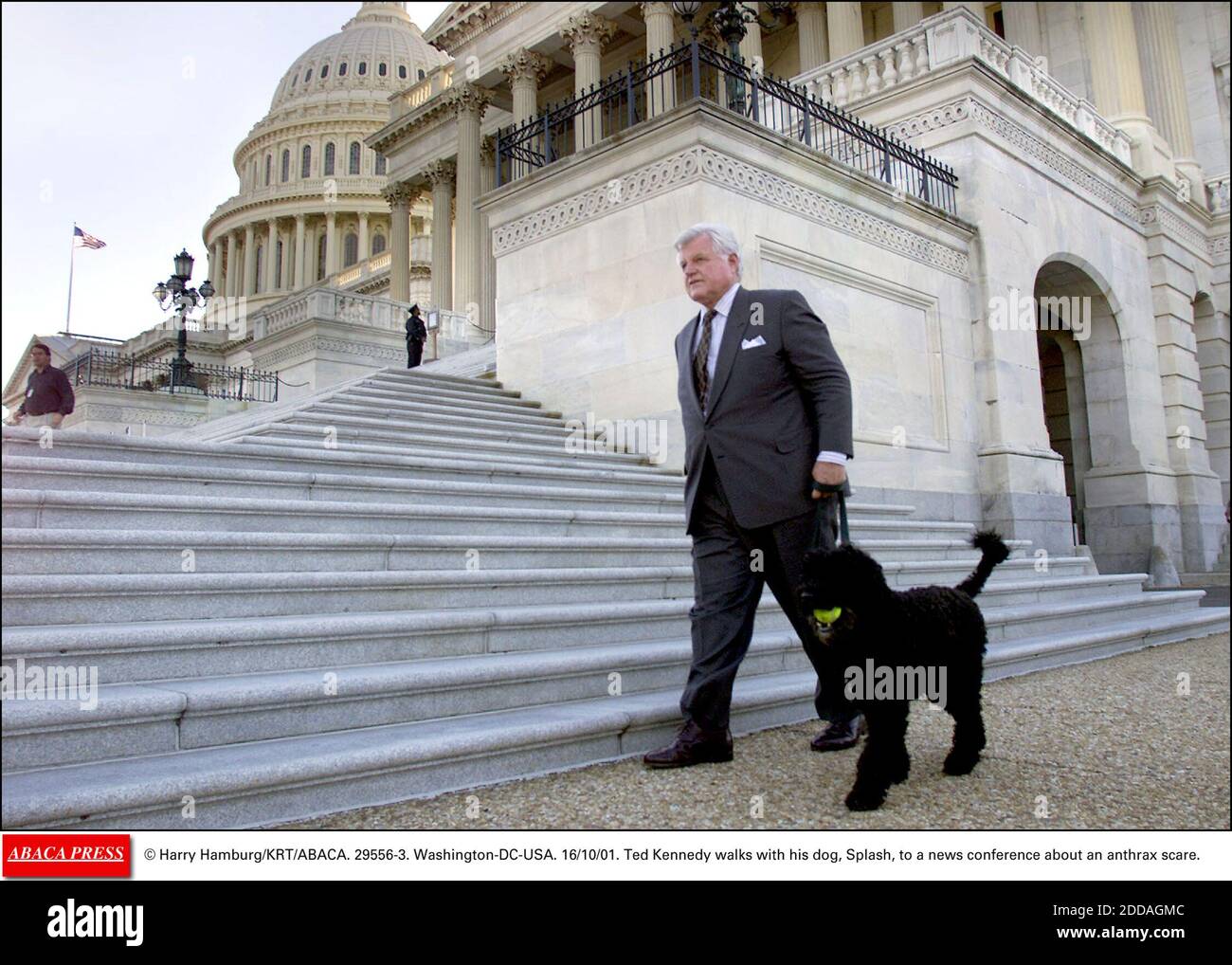 NO FILM, NO VIDEO, NO TV, NO DOCUMENTARY - © Harry Hamburg/KRT/ABACA. 29556-3. Washington-DC-USA. 16/10/01. Ted Kennedy walks with his dog, Splash, to a news conference about an anthrax scare. Stock Photo