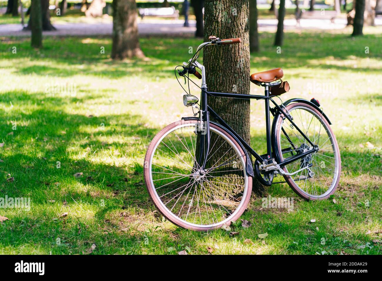 Bicycle parked on grassy field at public park Stock Photo
