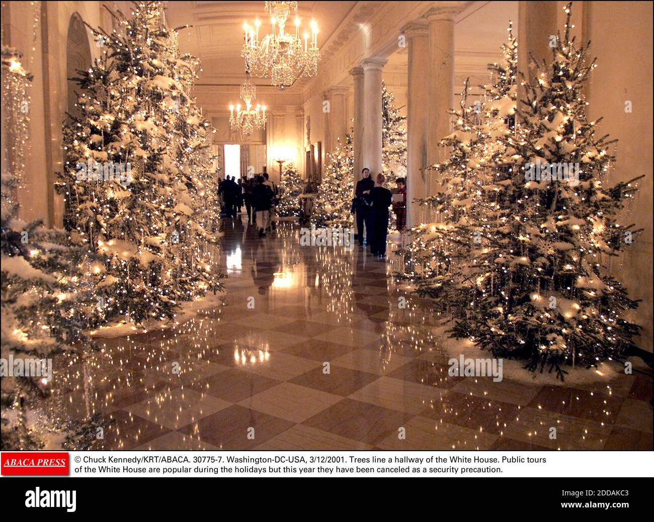 NO FILM, NO VIDEO, NO TV, NO DOCUMENTARY - © Chuck Kennedy/KRT/ABACA. 30775-7. Washington-DC-USA, 3/12/2001. Trees line a hallway of the White House. Public tours of the White House are popular during the holidays but this year they have been canceled as a security precaution. Stock Photo