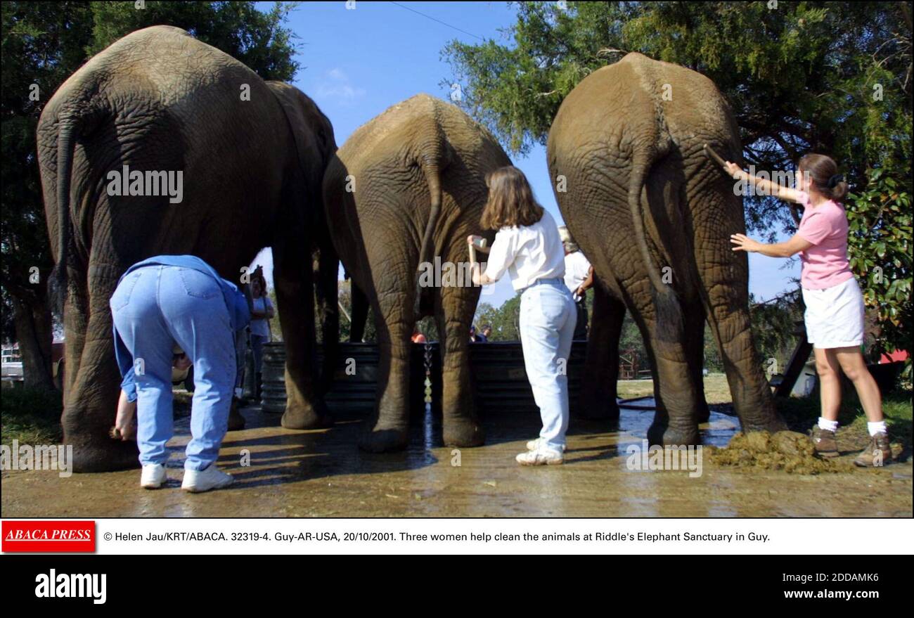 Riddles elephant sanctuary hi-res stock photography and images - Alamy Riddles elephant sanctuary hi-res stock photography and images - Alamy