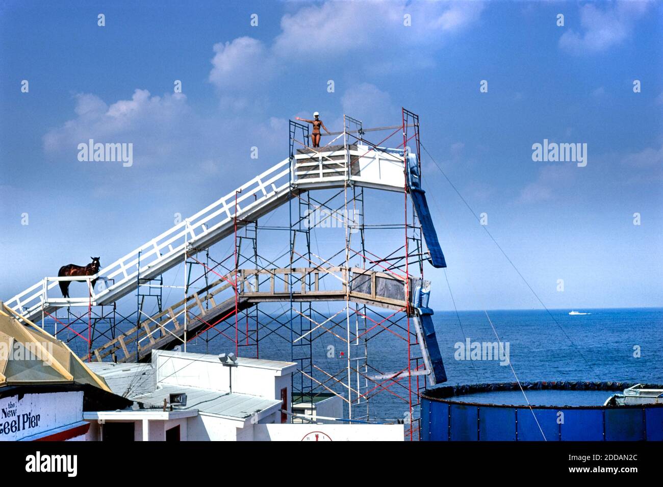Diving horse atlantic city hires stock photography and images Alamy