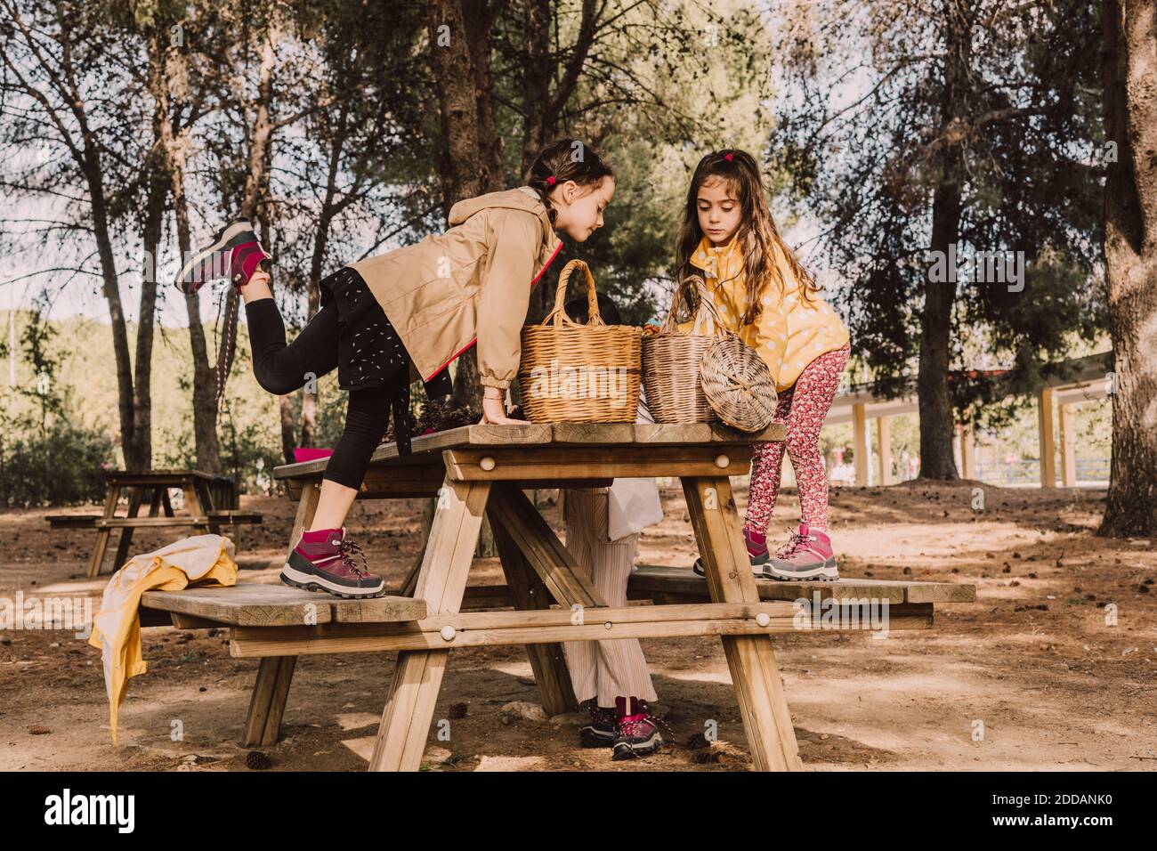 Family park picnic table hi-res stock photography and images - Alamy