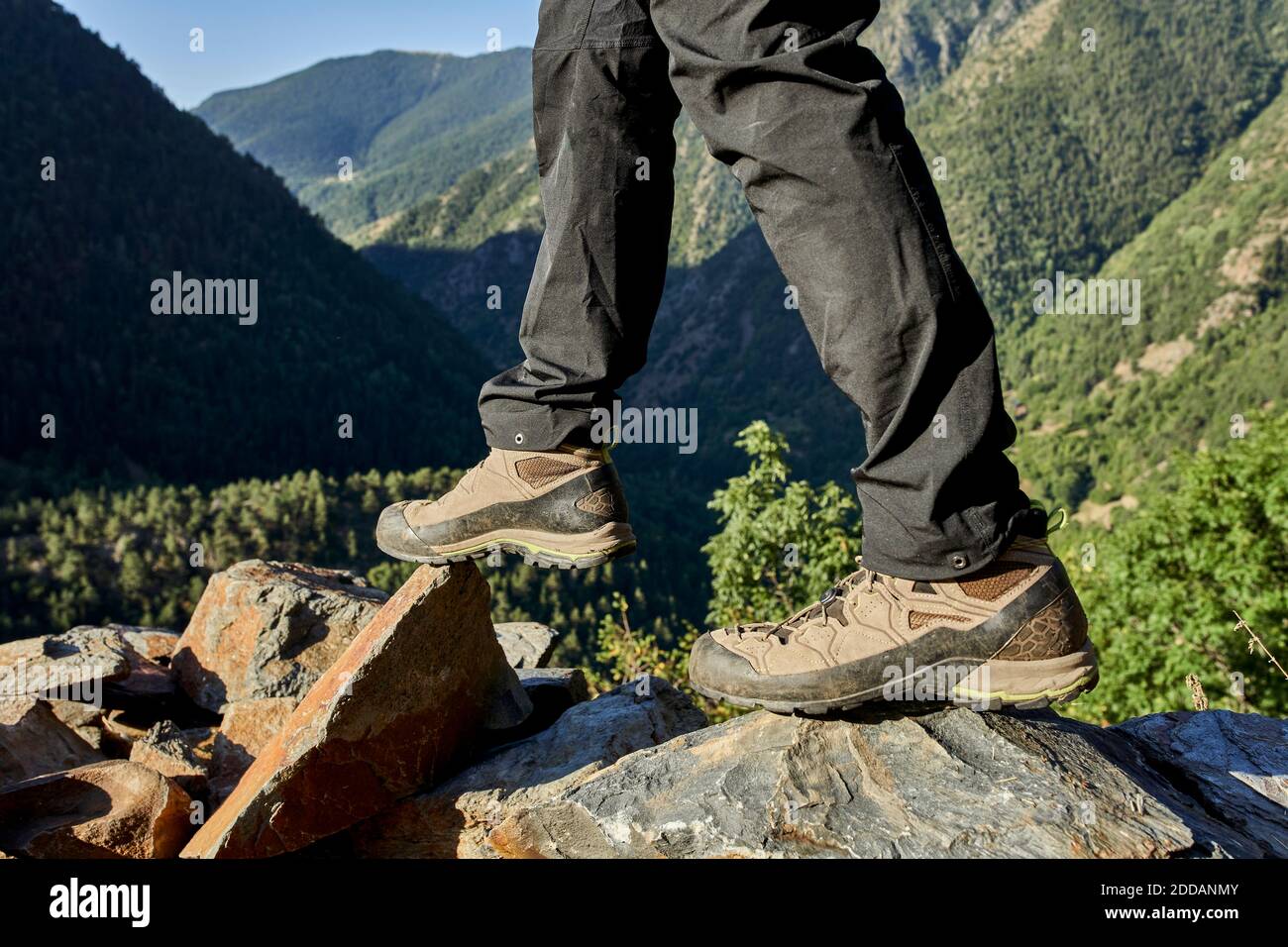 Legs of man wearing sports shoe standing on stone in forest Stock Photo