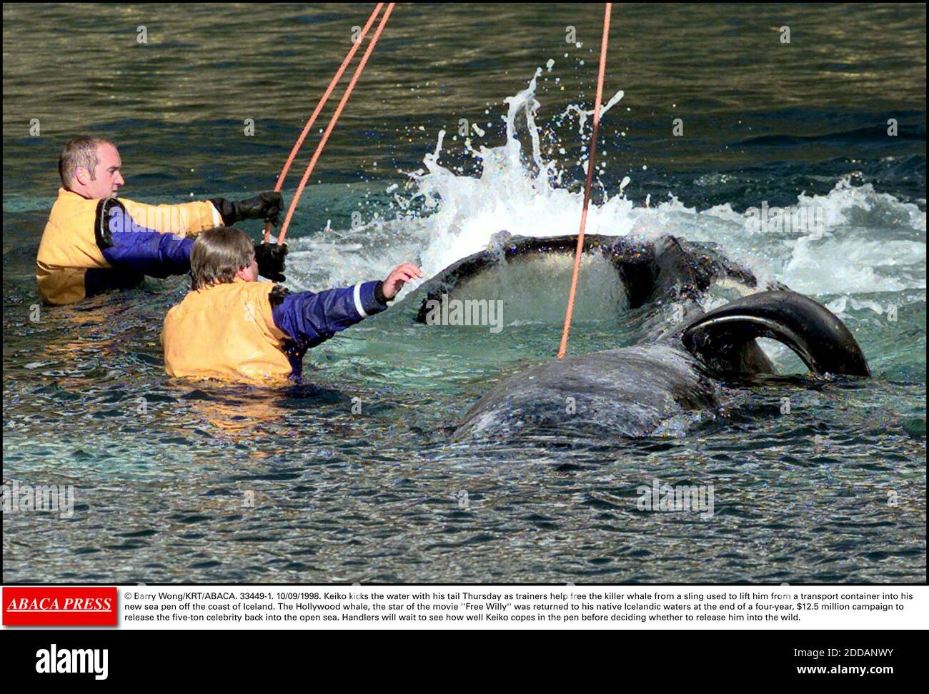 Keiko iceland hi-res stock photography and images - Alamy