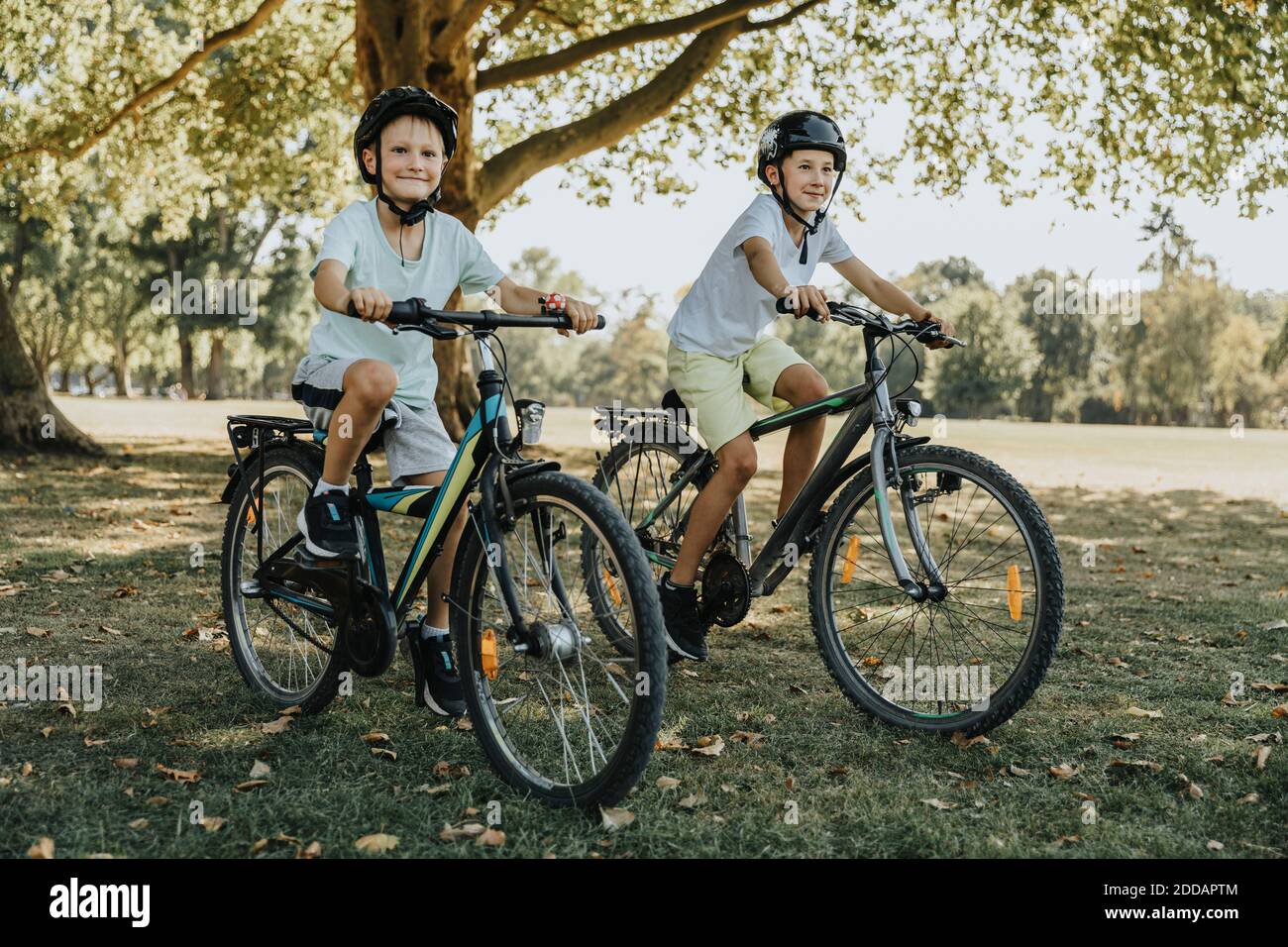Brothers with cycling in public park park on sunny day Stock Photo