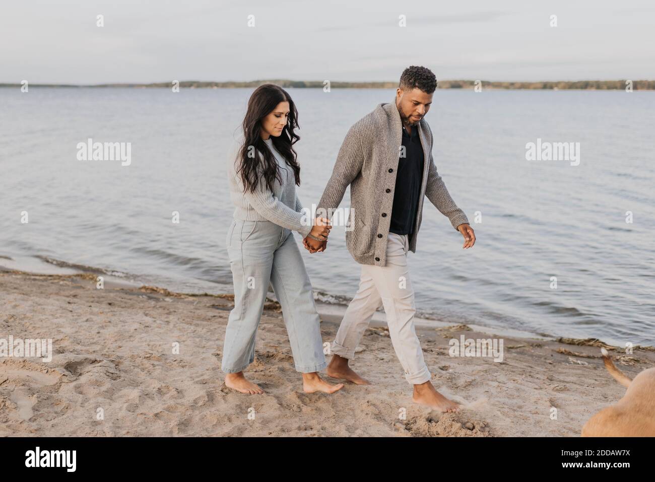 Man and woman holding hands while walking with dog by lake Stock Photo