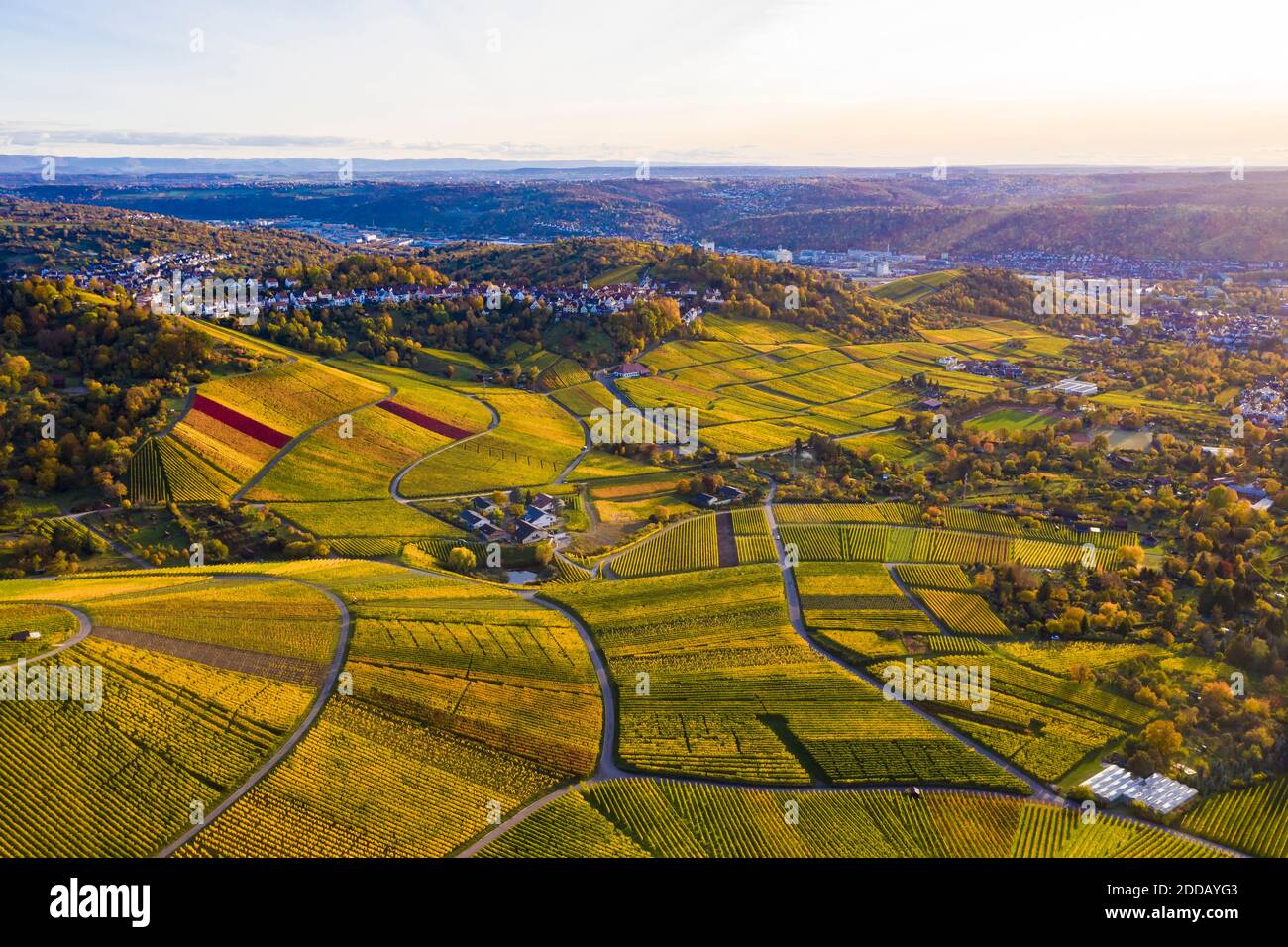 Germany, Baden-Wurttemberg, Rotenberg, Aerial view of vast countryside vineyards at autumn dusk Stock Photo