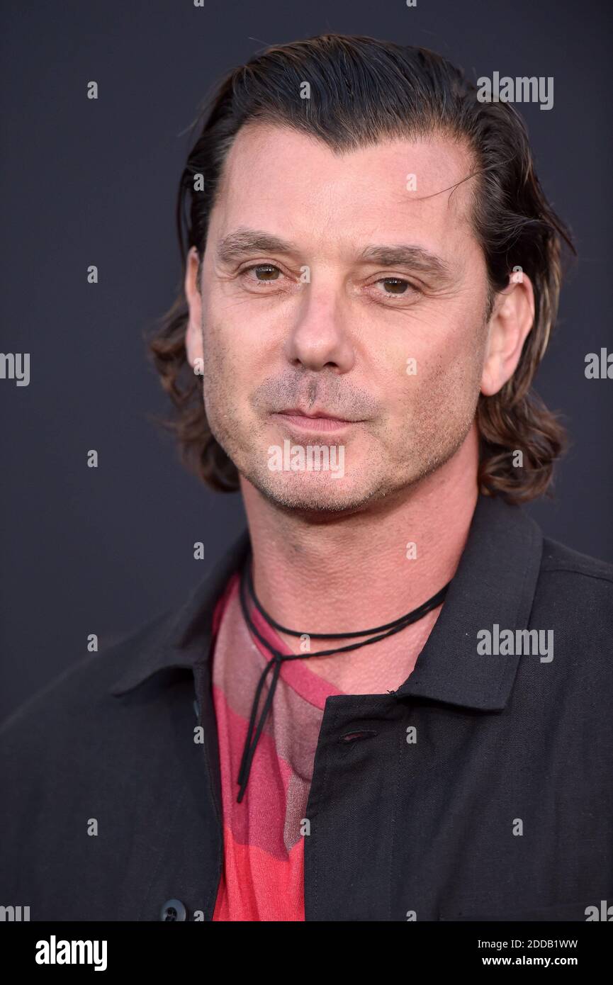 Gavin Rossdale attends the Premiere of Warner Bros. Pictures’ ‘A Star
