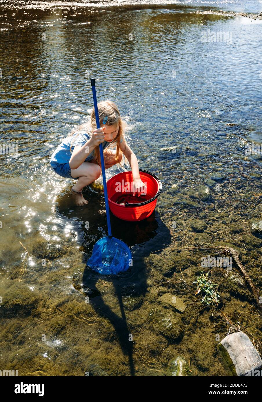 Little girl fishing net hi-res stock photography and images - Alamy