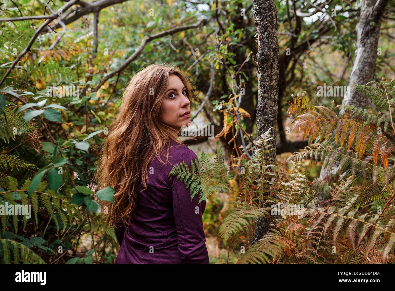 Woman looking away while walking between plant in forest at La Pedriza, Madrid, Spain Stock Photo