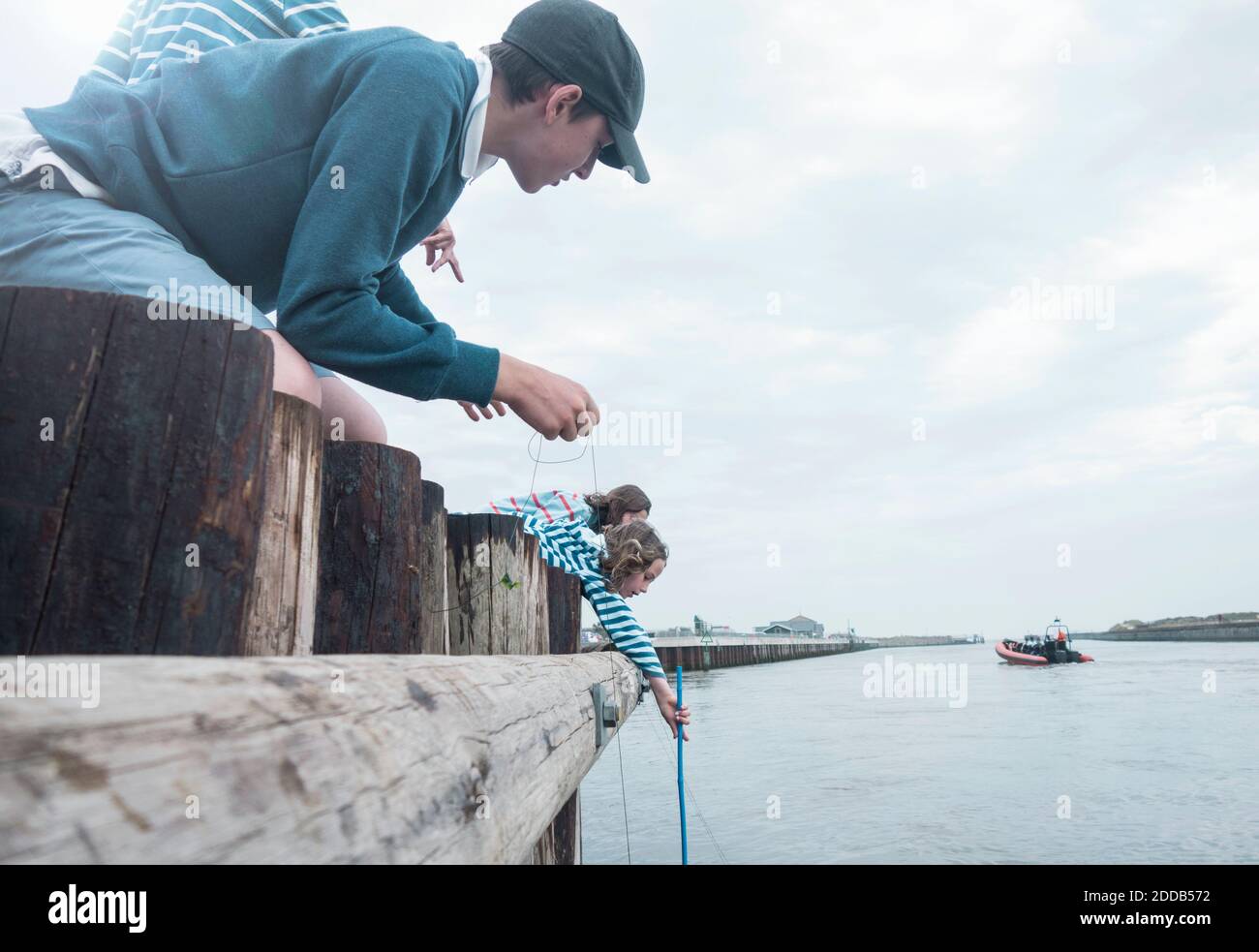 Children leaning over wooden railing to catch crabs from sea during summer Stock Photo