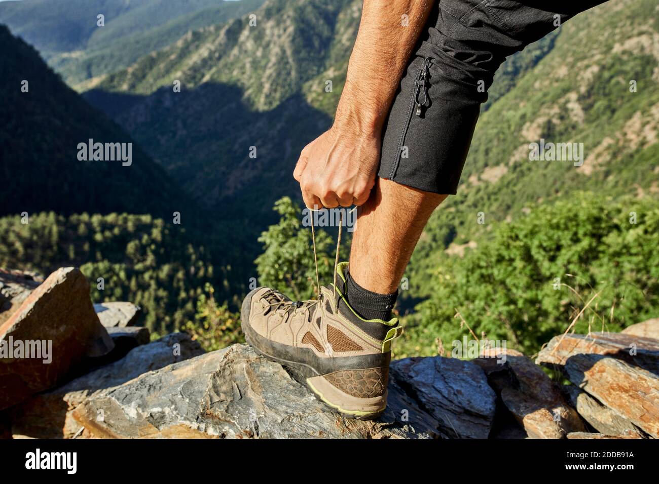 Close-up of man tying shoelace standing in forest Stock Photo