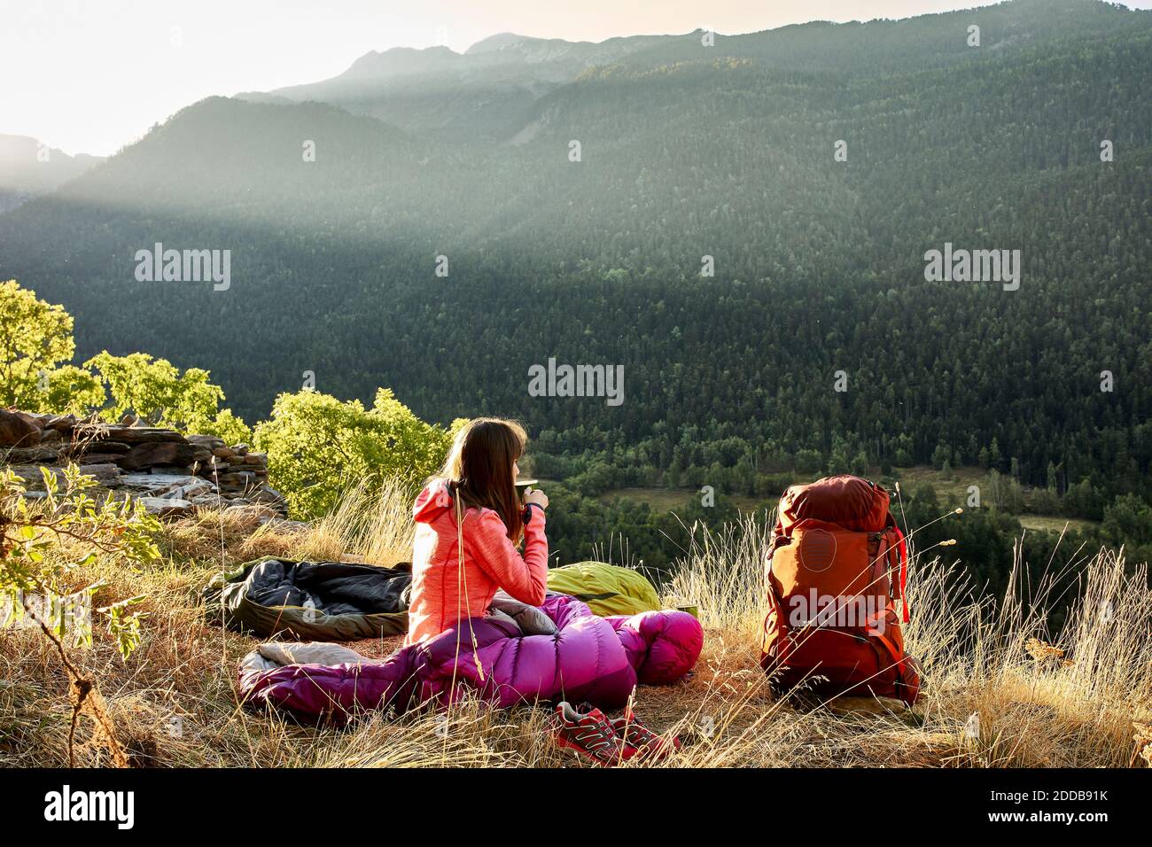 Woman looking at view while drinking coffee sitting in forest Stock Photo