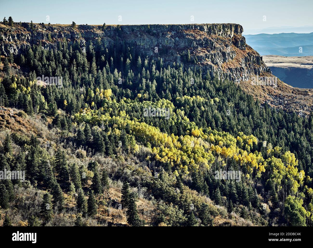 Forested ridge hi-res stock photography and images - Alamy