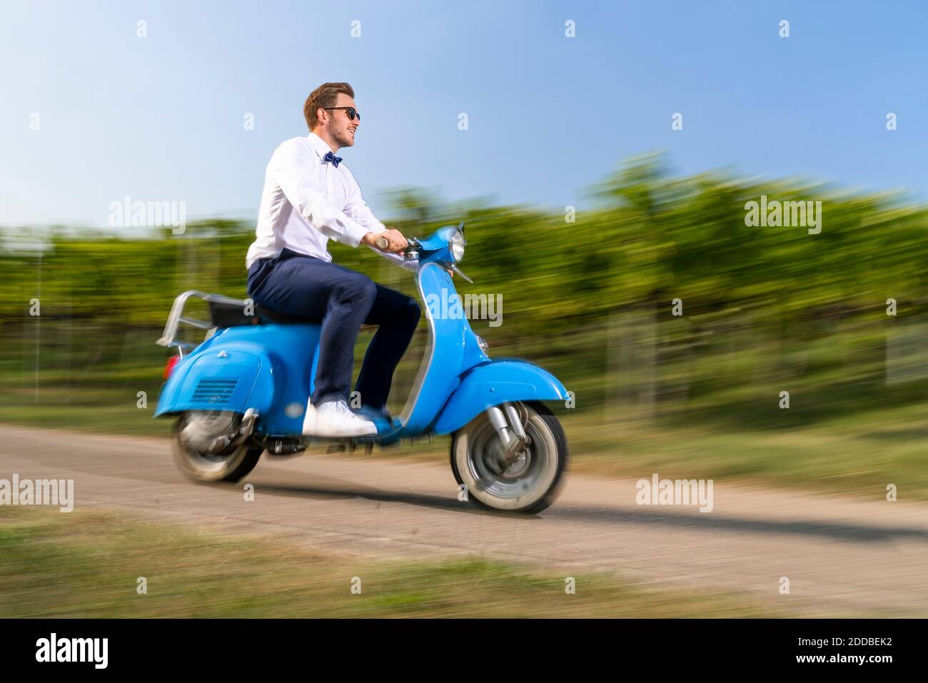 Adventure vineyard hi-res stock photography and images - Alamy