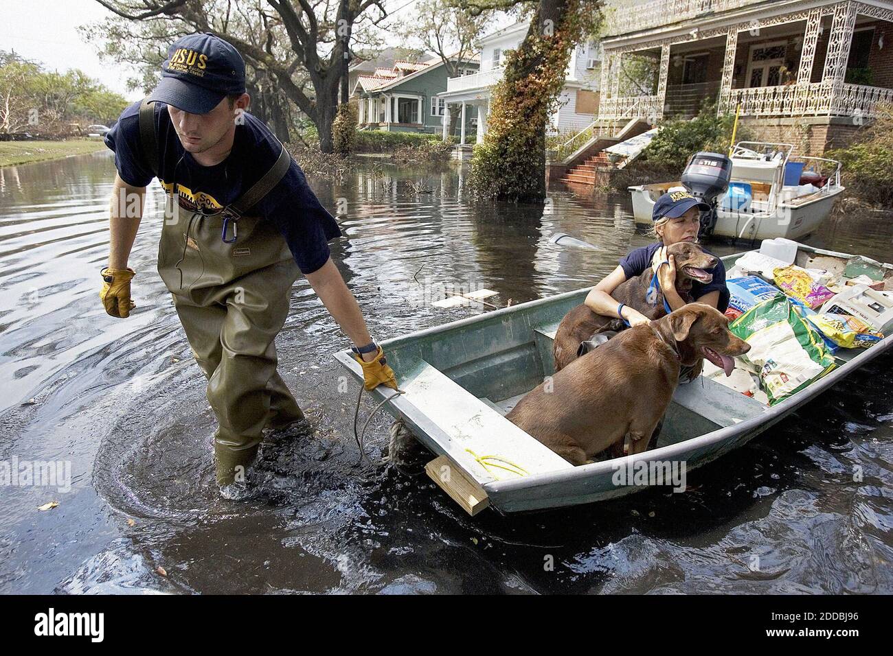 NO FILM, NO VIDEO, NO TV, NO DOCUMENTARY - Humane Society of the United  States animal rescue crew member Drew Moore (left) pulls a rescue boat to  shore as Jane Garrison cradles