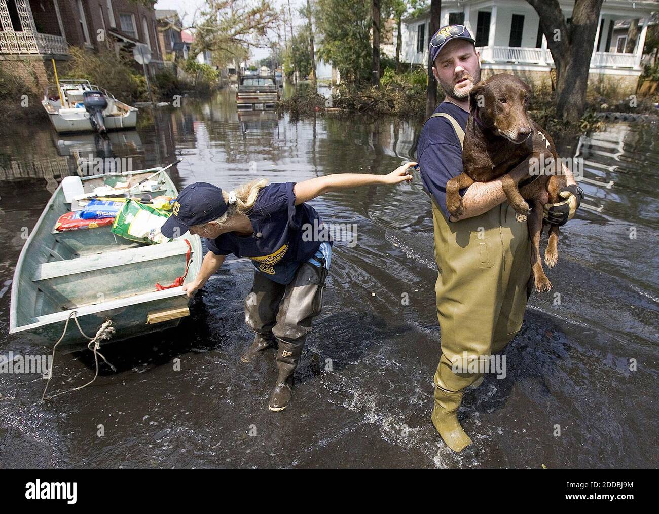 NO FILM, NO VIDEO, NO TV, NO DOCUMENTARY - Humane Society of the United States animal rescue crew member Jane Garrison pulls a rescue boat to shore as Bruce Earnest cradles a dog rescued from a flooded home in the Garden district of New Orleans Louisiana, on Saturday, Sept. 10, 2005. Rescue efforts are ongoing for animals and pets that have been left behind during the Hurricane Katrina evacuation. Photo by Greg Norman NG/Kansas City Star/KRT/ABACAPRESS.COM Stock Photo
