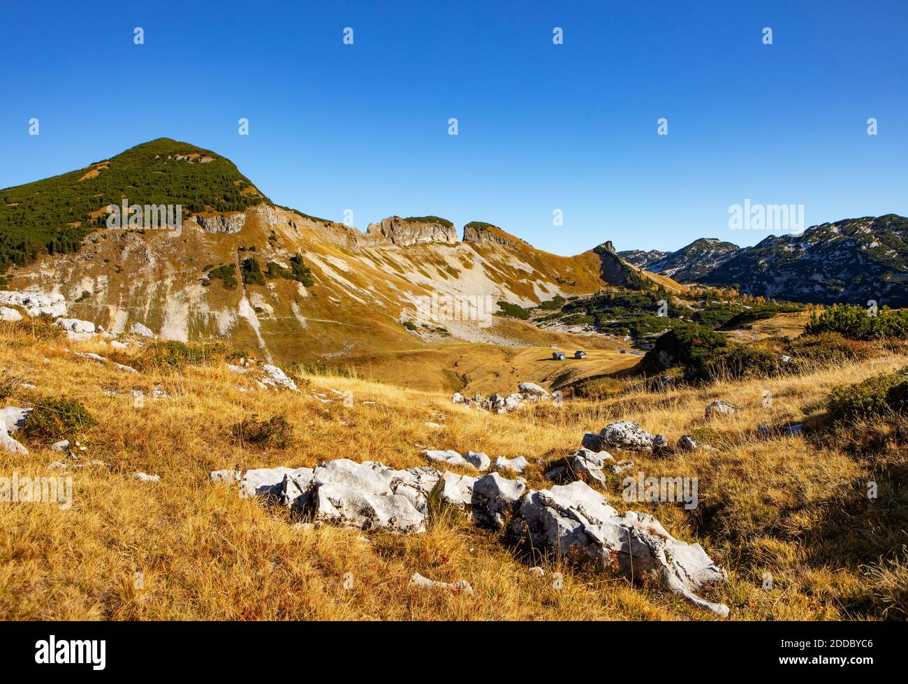 Scenic view of Loser Plateau on sunny day, Altaussee, Salzkammergut, Styria, Austria Stock Photo
