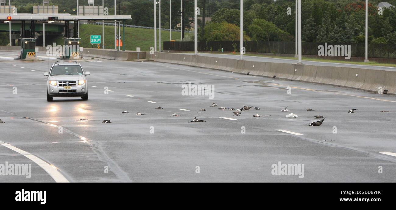NO FILM, NO VIDEO, NO TV, NO DOCUMENTARY - A car makes it way south on the Garden State Parkway Sunday, August 28, 2011 near exit 29 after dozens of seagulls were killed as Hurricane Irene passed through the area. Photo by Steven M. Falk/Philadelphia Daily News/MCT/ABACAPRESS.COM Stock Photo