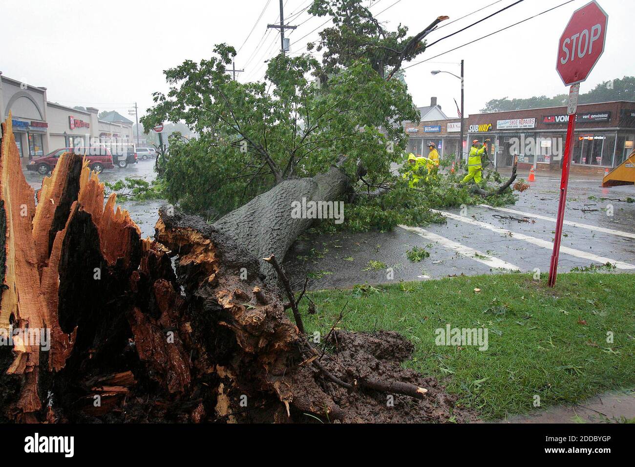 NO FILM, NO VIDEO, NO TV, NO DOCUMENTARY - City workers remove a downed tree Sunday August 28, 2011, located on Fair Lawn Avenue, in Fair Lawn, New Jersey after Hurricane Irene passed through the area. Photo by Mitsu Yasukawa/The Record/MCT/ABACAPRESS.COM Stock Photo