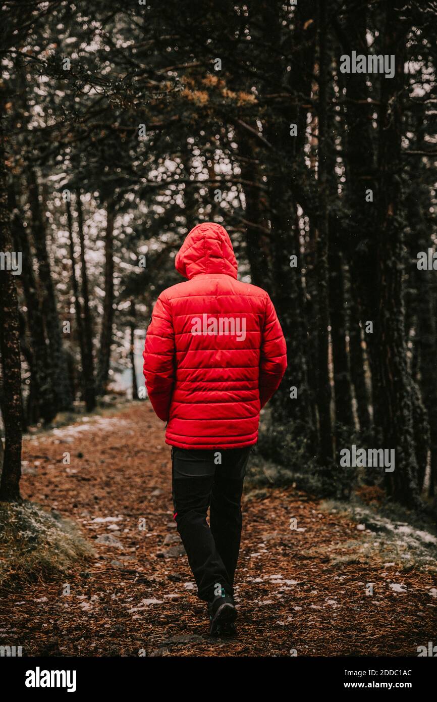 Young man wearing warm clothes walking in forest during winter Stock Photo