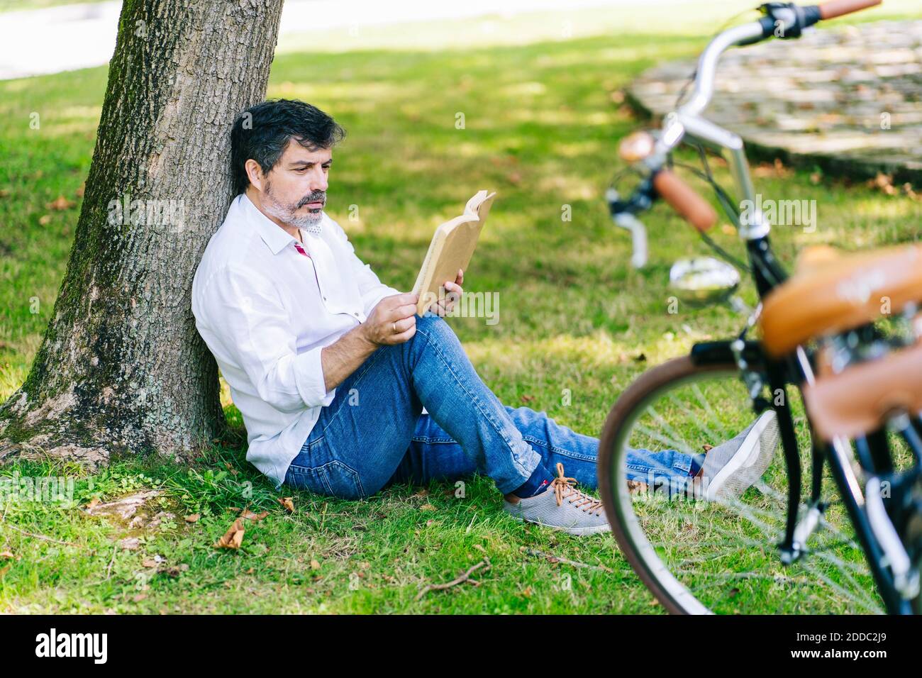 Mature man reading book with concentration while sitting in public park Stock Photo
