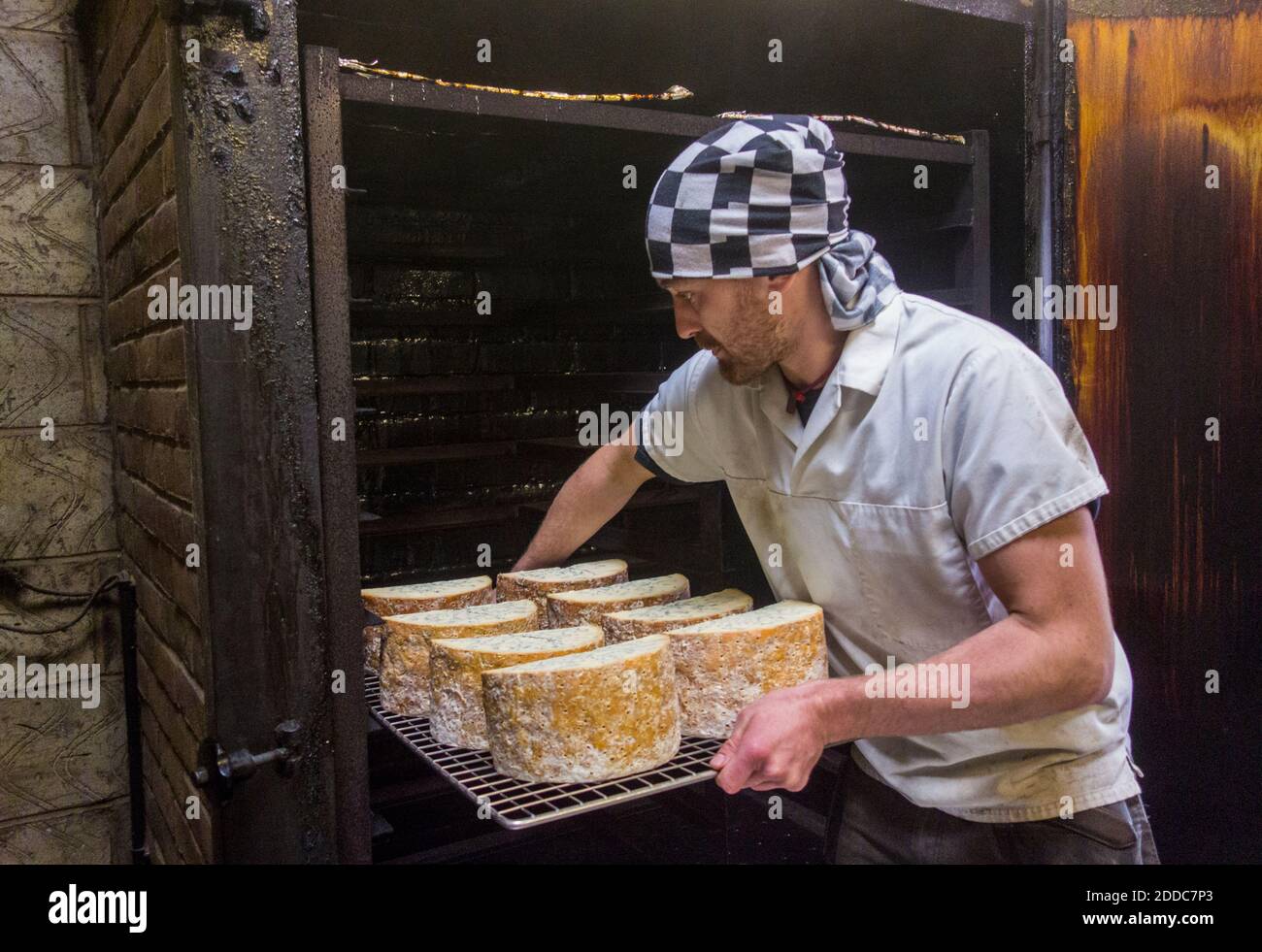 Manual worker inserting stilton cheese tray in smokehouse at food factory Stock Photo